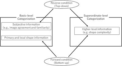 Object Categorization Processing Differs According to Category Level: Comparing Visual Information Between the Basic and Superordinate Levels